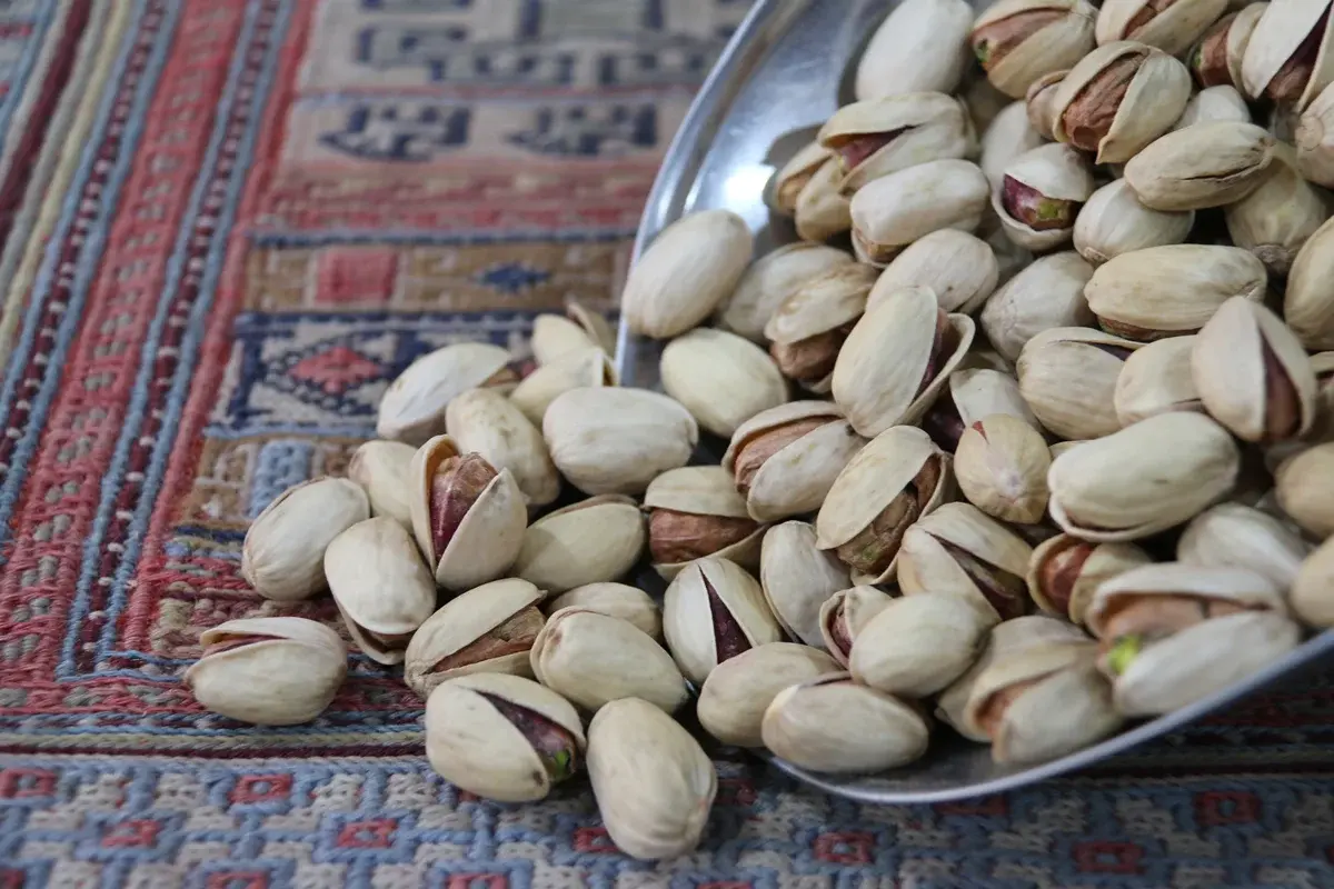 خرید پسته کله قوچی نمکی