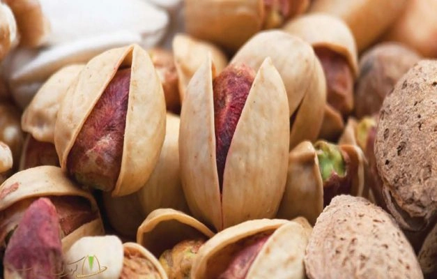 خرید پسته کله قوچی آبلیمویی