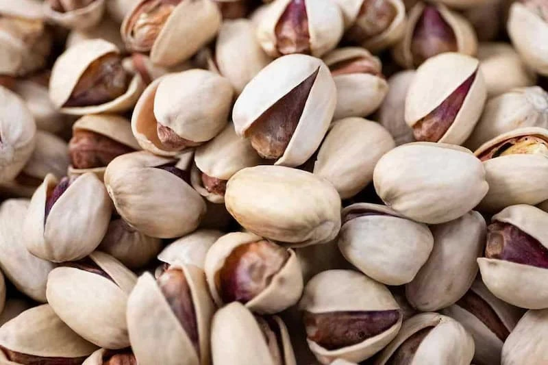 قیمت پسته فندقی خام