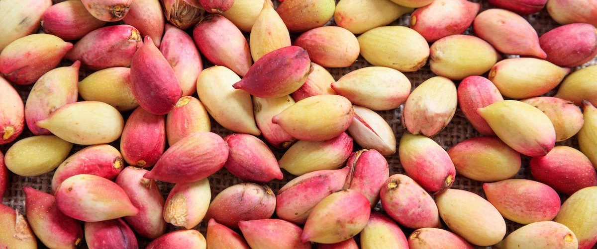 فواید پسته تازه برای پوست و زیبایی