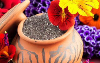 دانه چیا برای لاغری