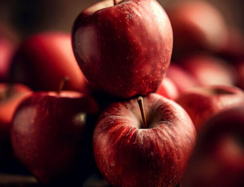 رژیم لاغری سه روزه سیب: 5 کیلو کاهش وزن با خوردن سیب در 3 روز
