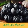 سیر سیاه برای لاغری:راهنمای کامل استفاده از سیر سیاه